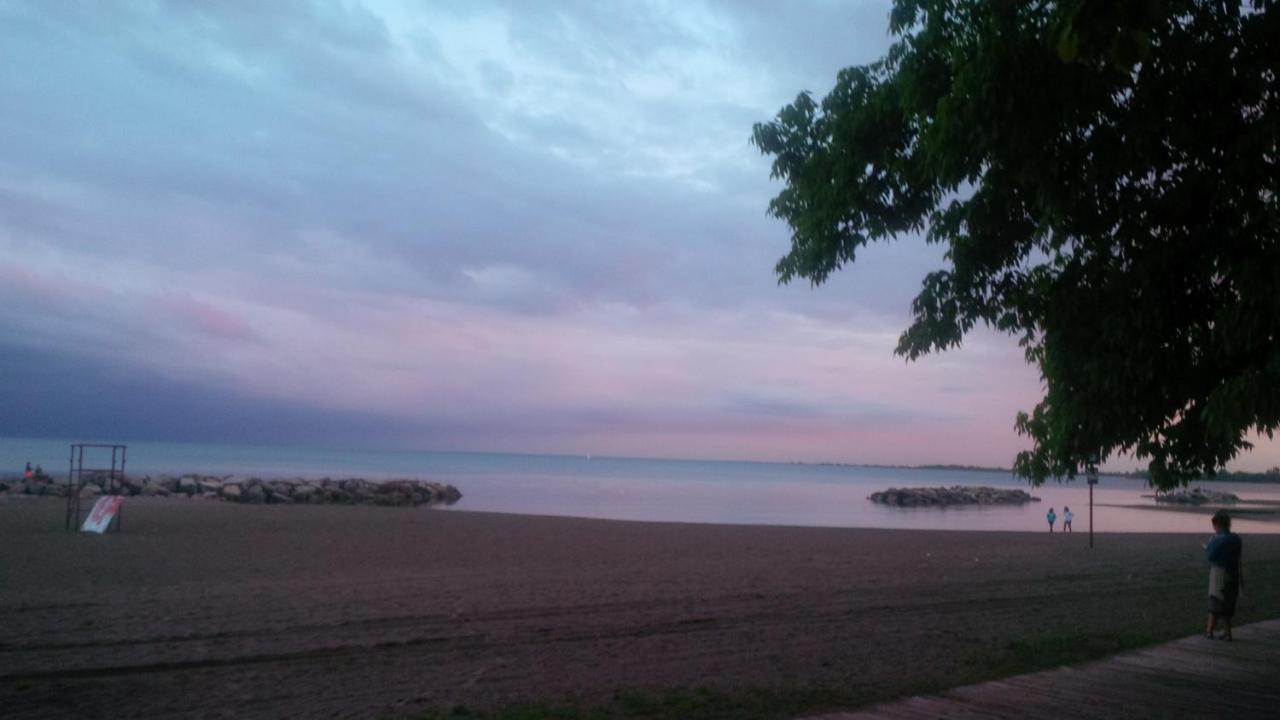 شقة An Independent Beach Retreat Steps From The Lake And Right In The City تورونتو المظهر الخارجي الصورة