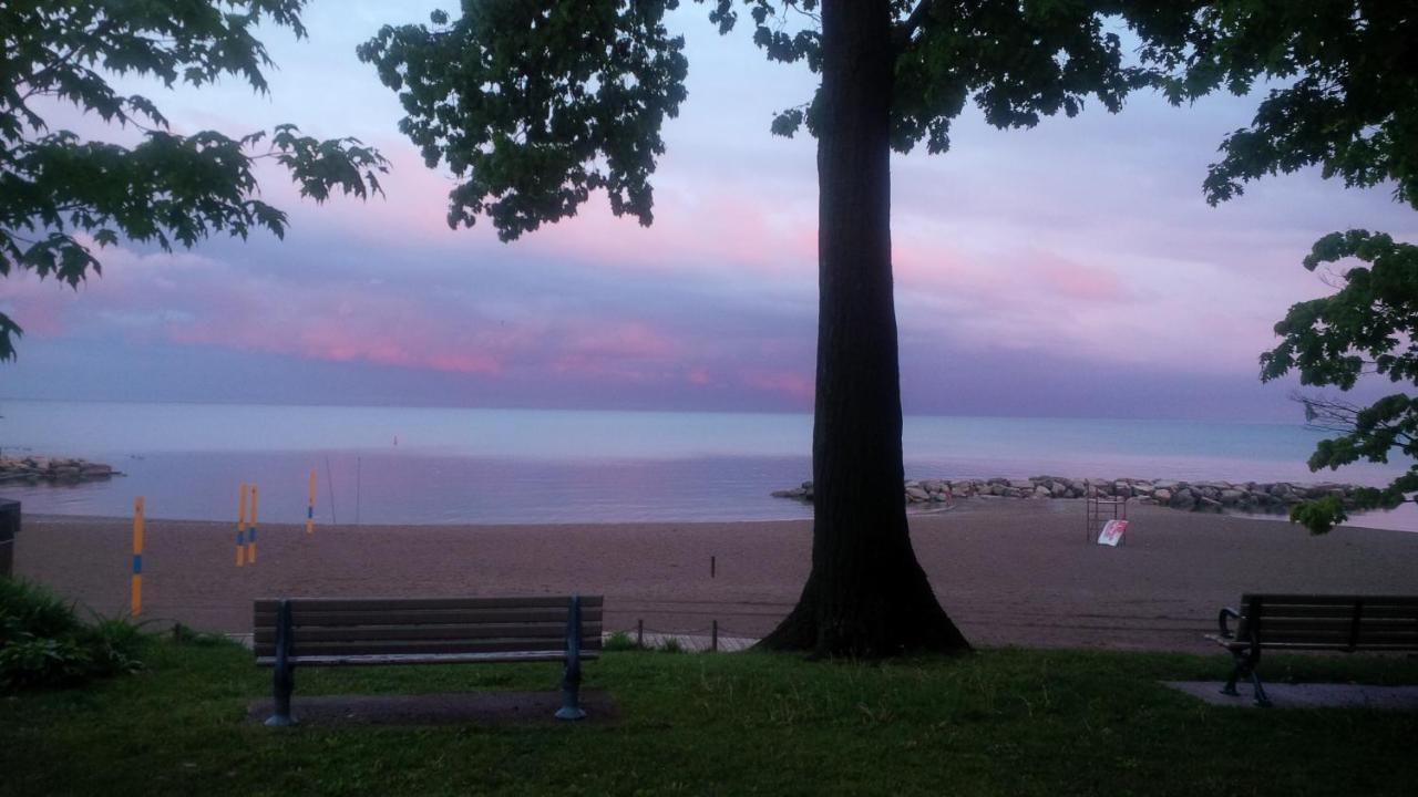شقة An Independent Beach Retreat Steps From The Lake And Right In The City تورونتو المظهر الخارجي الصورة